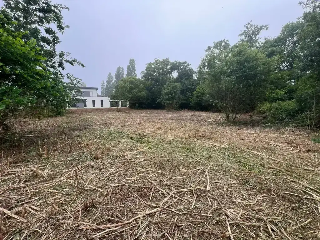 Terrain nettoyé après broyage forestier devant une maison à Fouesnant