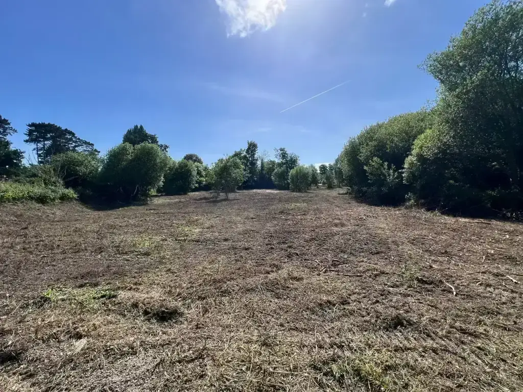 Terrain de 6 000 m² entièrement broyé et dégagé après intervention à Fouesnant