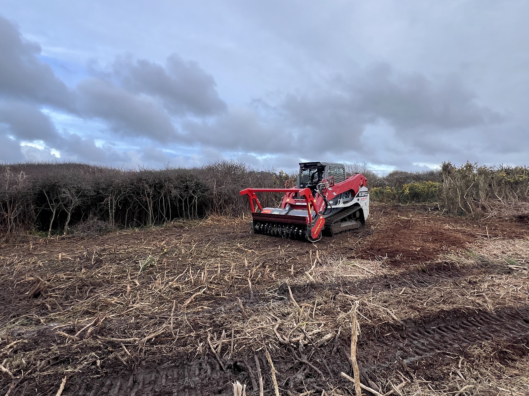 Broyage Forestier Finistère (29)