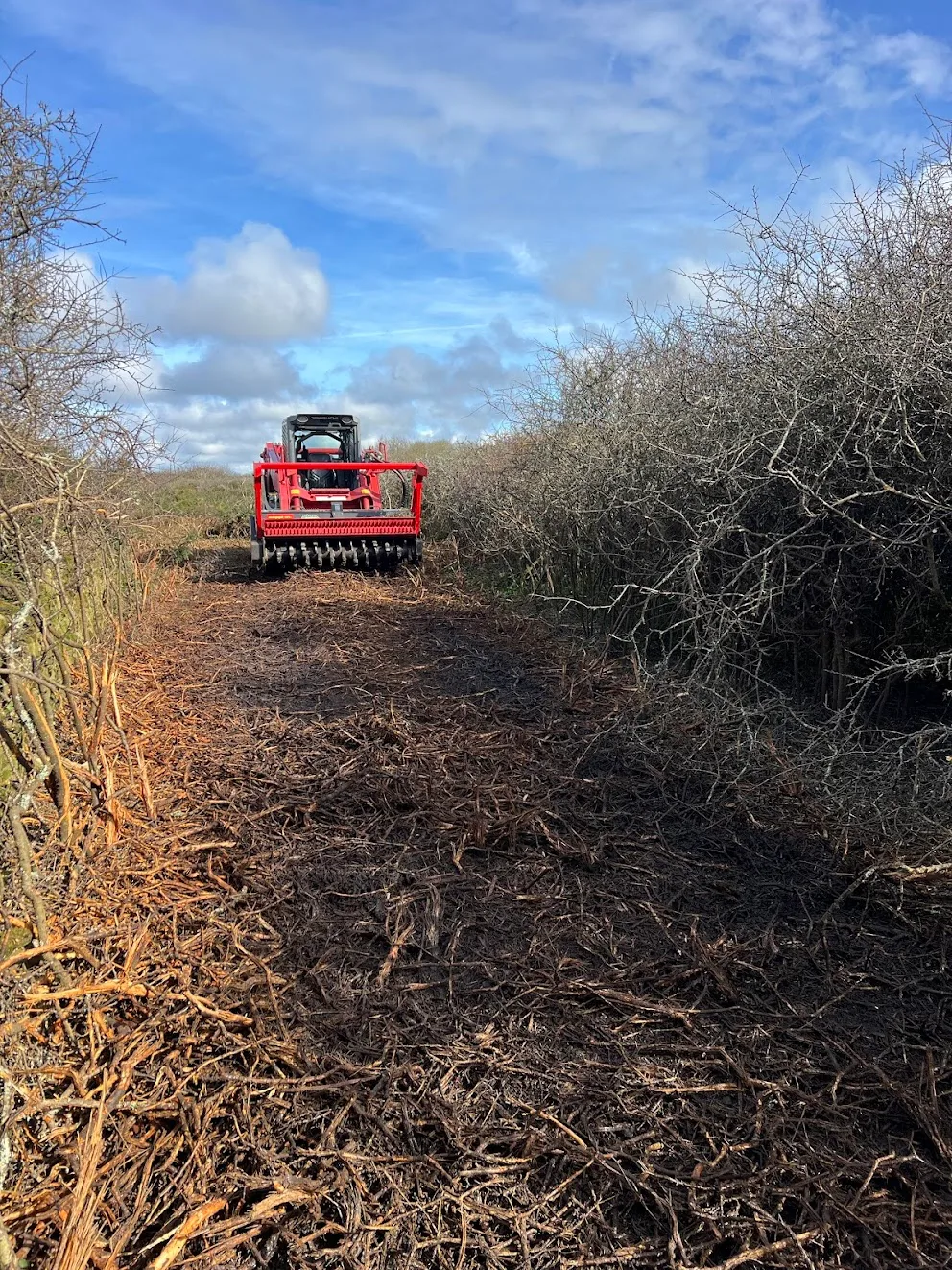 Chantier de broyage forestier en Finistère