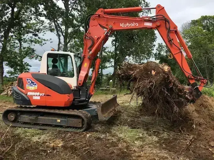 Levage d'une grosse souche racinaire au godet de pelle, dessouchage de terrain en Finistère Sud